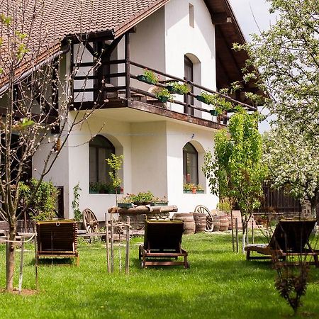 Casa Mosului - Transfagarasan Bed & Breakfast Cîrţişoara المظهر الخارجي الصورة
