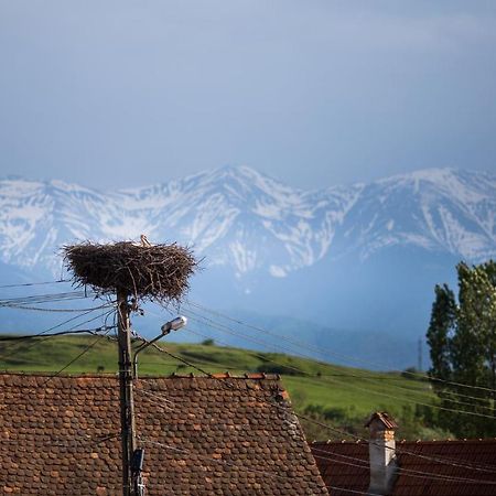 Casa Mosului - Transfagarasan Bed & Breakfast Cîrţişoara المظهر الخارجي الصورة