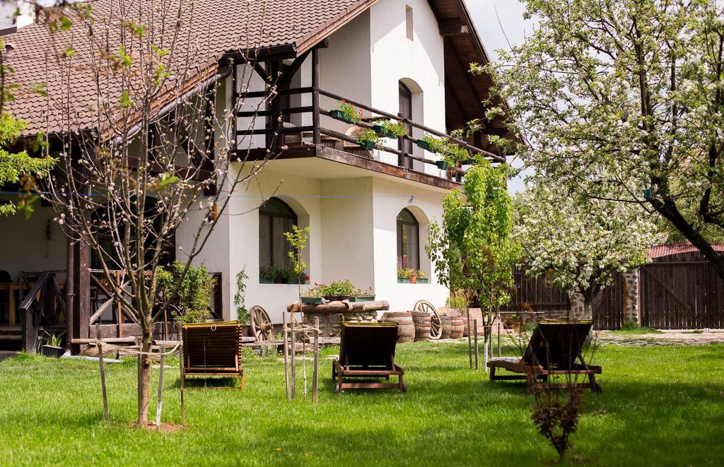 Casa Mosului - Transfagarasan Bed & Breakfast Cîrţişoara المظهر الخارجي الصورة