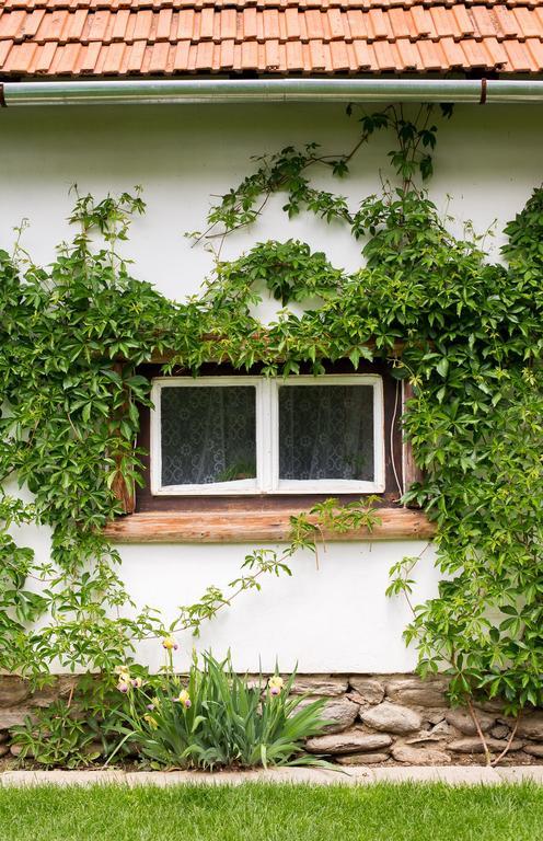 Casa Mosului - Transfagarasan Bed & Breakfast Cîrţişoara المظهر الخارجي الصورة