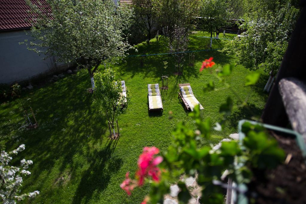 Casa Mosului - Transfagarasan Bed & Breakfast Cîrţişoara المظهر الخارجي الصورة