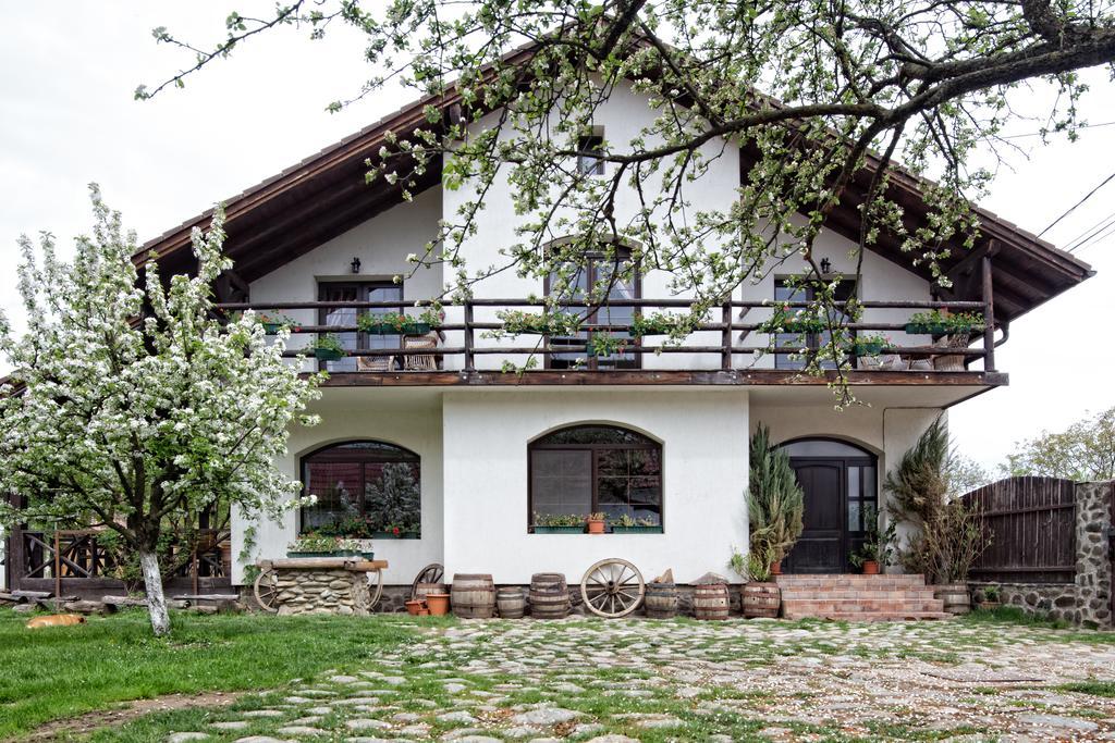 Casa Mosului - Transfagarasan Bed & Breakfast Cîrţişoara المظهر الخارجي الصورة
