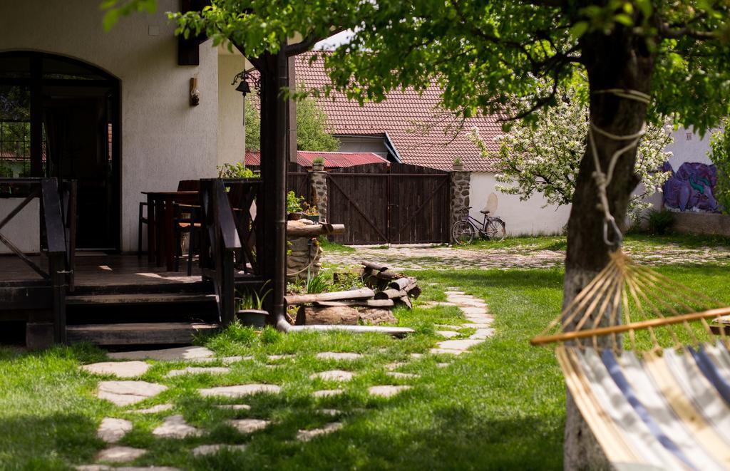 Casa Mosului - Transfagarasan Bed & Breakfast Cîrţişoara المظهر الخارجي الصورة