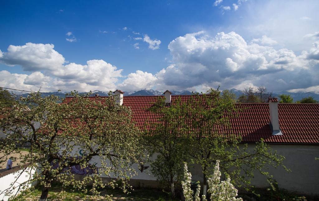 Casa Mosului - Transfagarasan Bed & Breakfast Cîrţişoara المظهر الخارجي الصورة