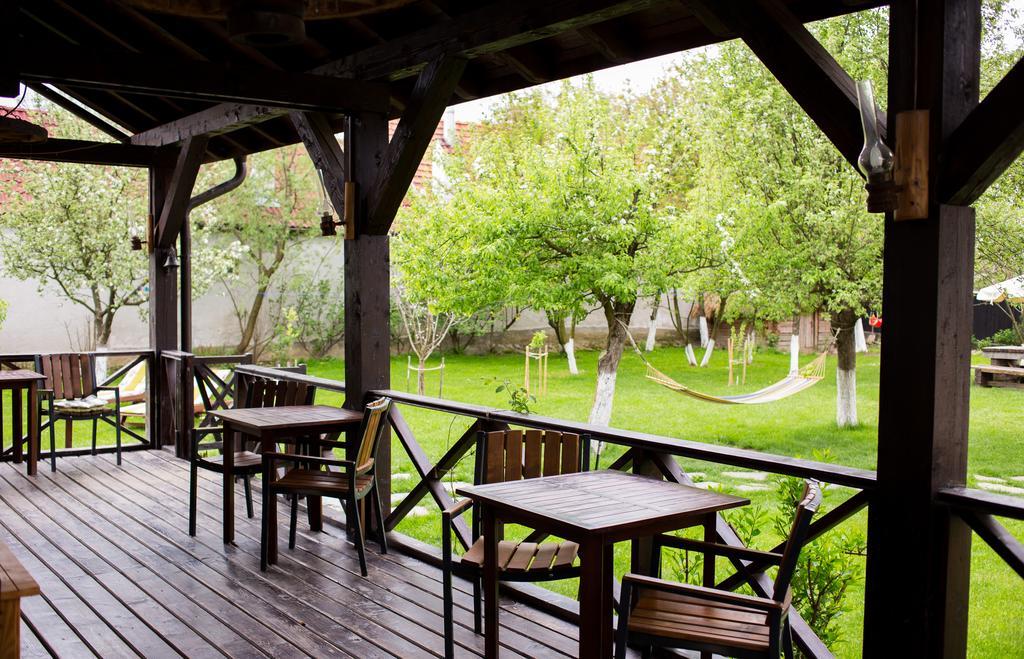 Casa Mosului - Transfagarasan Bed & Breakfast Cîrţişoara المظهر الخارجي الصورة