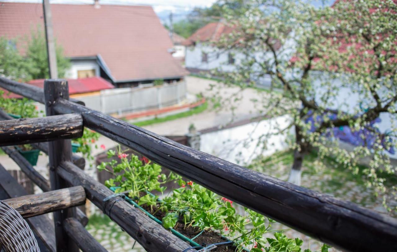 Casa Mosului - Transfagarasan Bed & Breakfast Cîrţişoara المظهر الخارجي الصورة